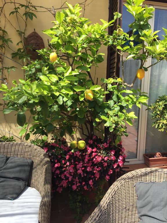 Terrazza Duomo Bed & Breakfast Napoli Eksteriør bilde