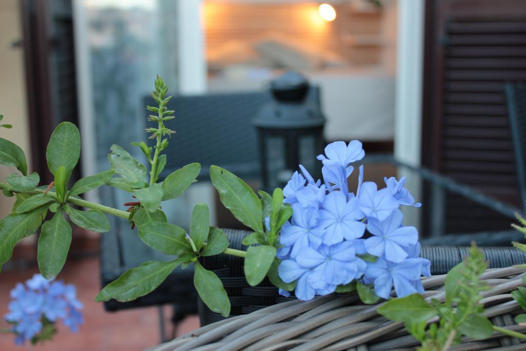 Terrazza Duomo Bed & Breakfast Napoli Rom bilde